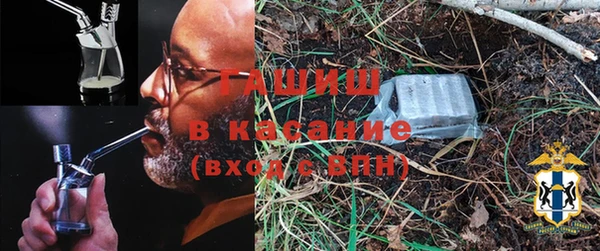 PSILOCYBIN Алзамай