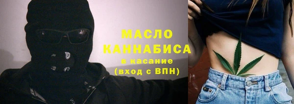 дмт Алексин