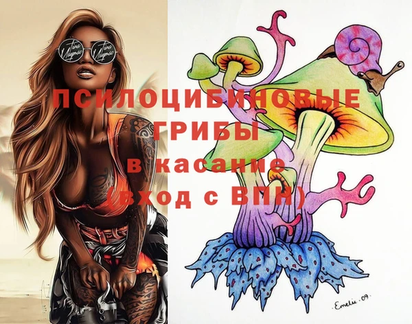 PSILOCYBIN Алзамай
