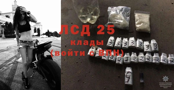 PSILOCYBIN Алзамай