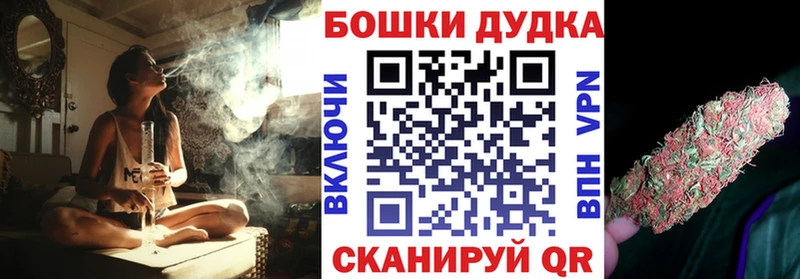 как найти закладки  Пошехонье  блэк спрут ссылки  Шишки марихуана план 